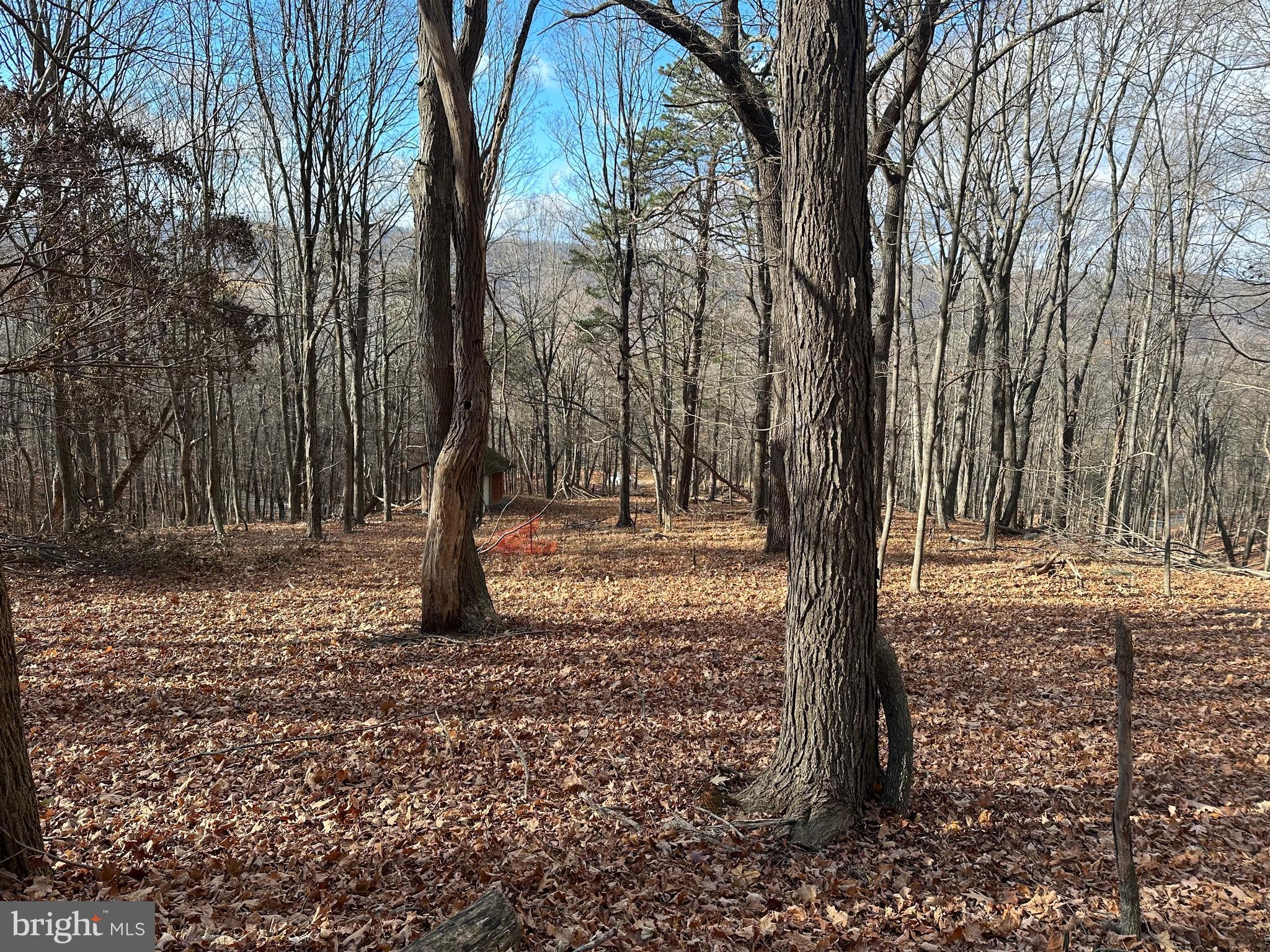 BLACK BEAR RECREATION AREA - Land
