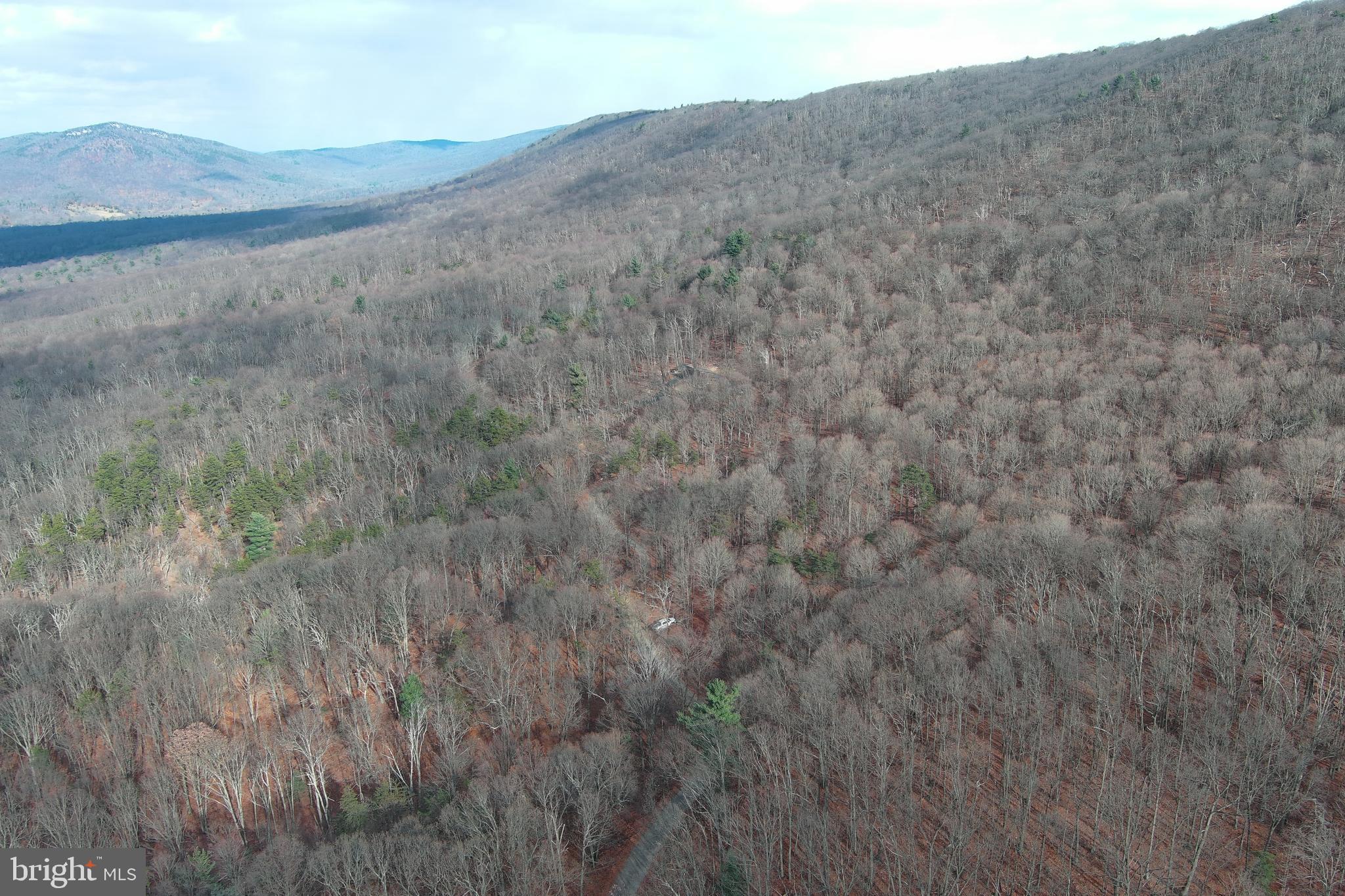 BLACK BEAR RECREATION AREA - Land