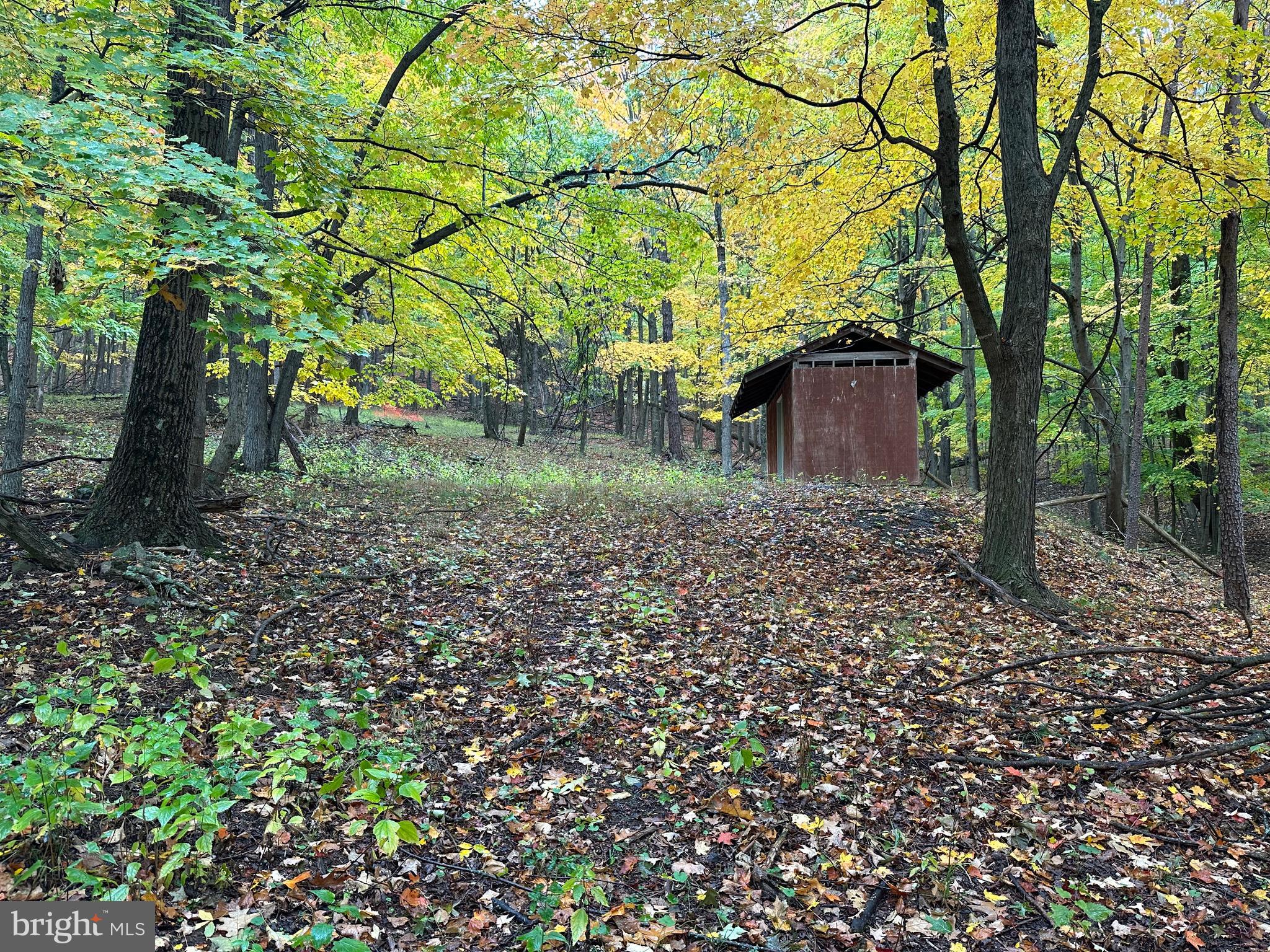 BLACK BEAR RECREATION AREA - Land