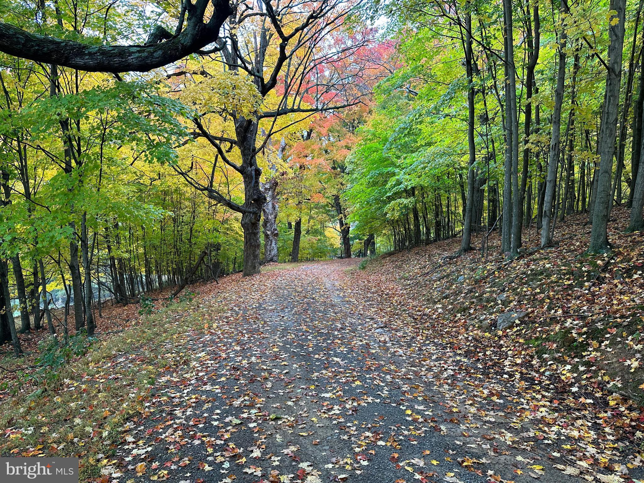 BLACK BEAR RECREATION AREA - Land