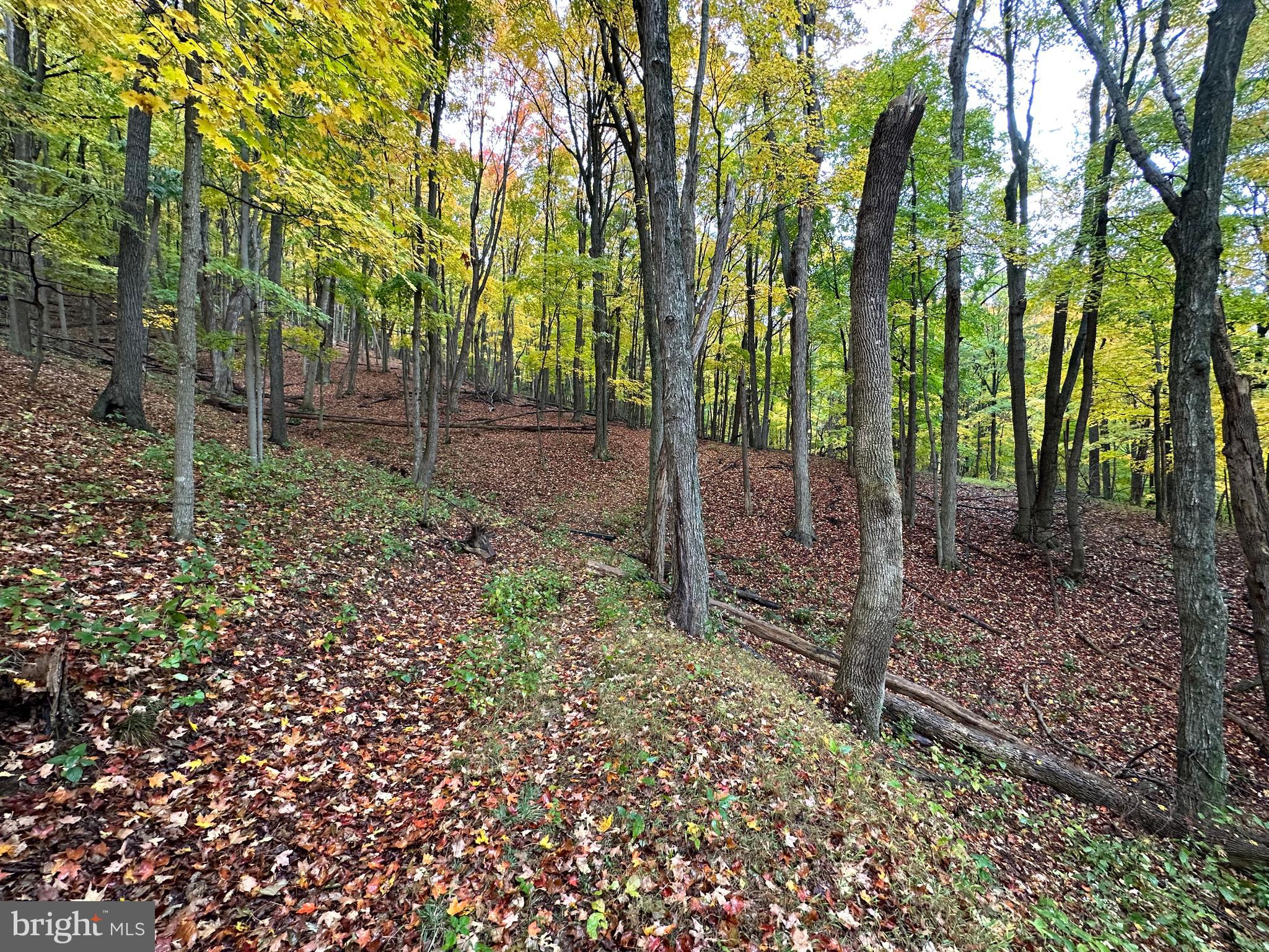 BLACK BEAR RECREATION AREA - Land