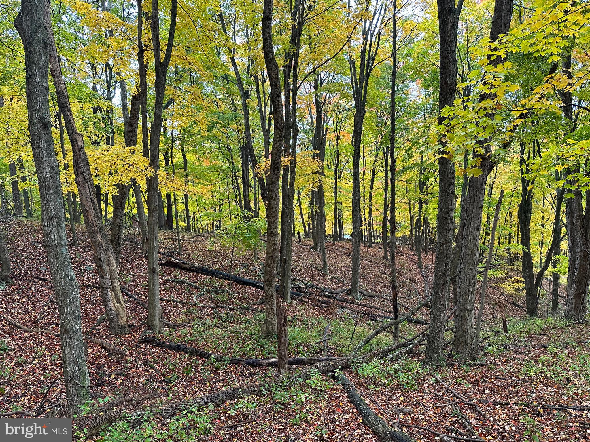 BLACK BEAR RECREATION AREA - Land