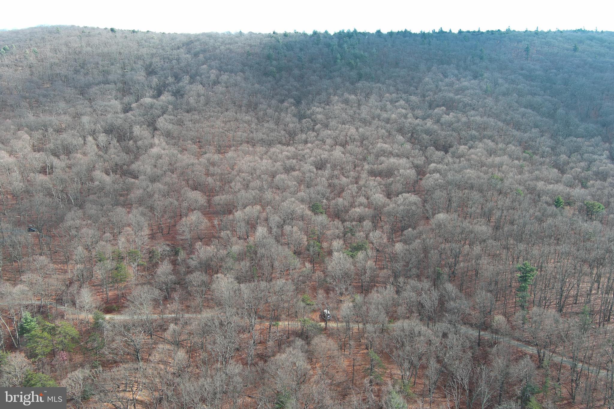 BLACK BEAR RECREATION AREA - Land