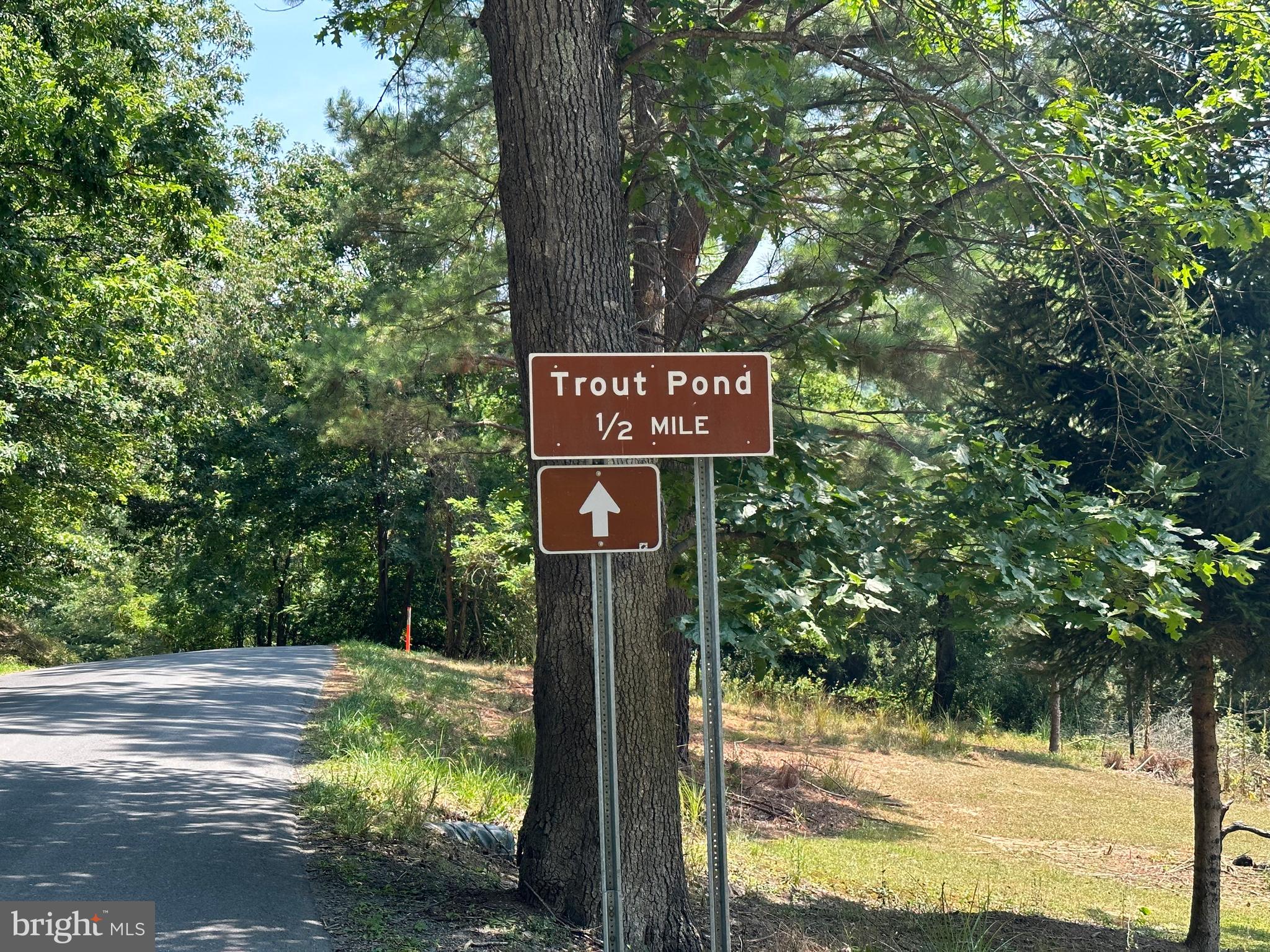 BLACK BEAR RECREATION AREA - Land