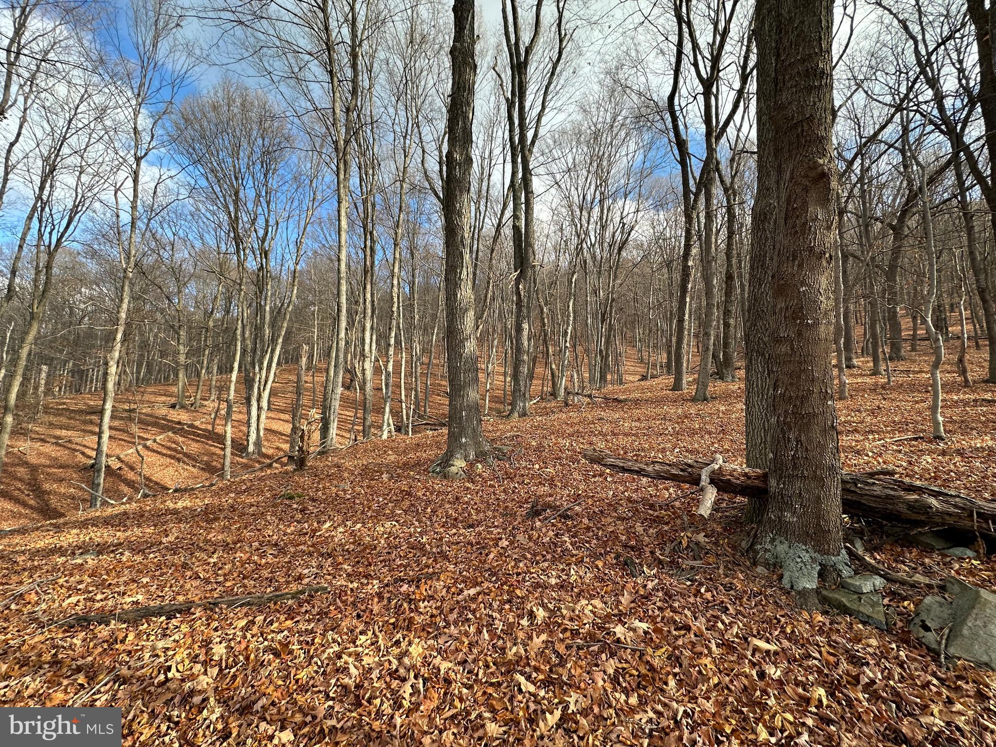 BLACK BEAR RECREATION AREA - Land