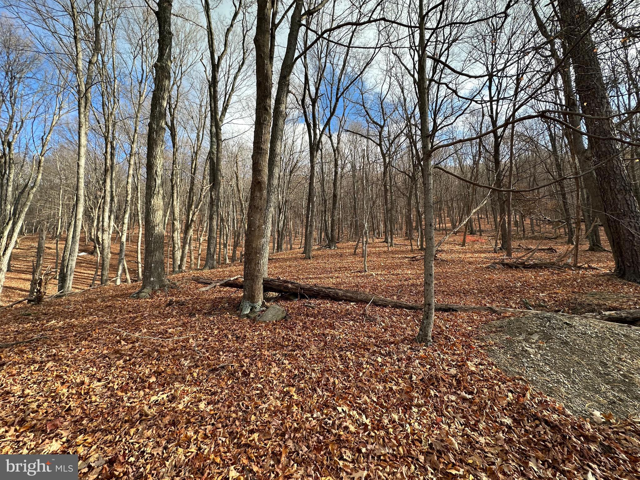 BLACK BEAR RECREATION AREA - Land