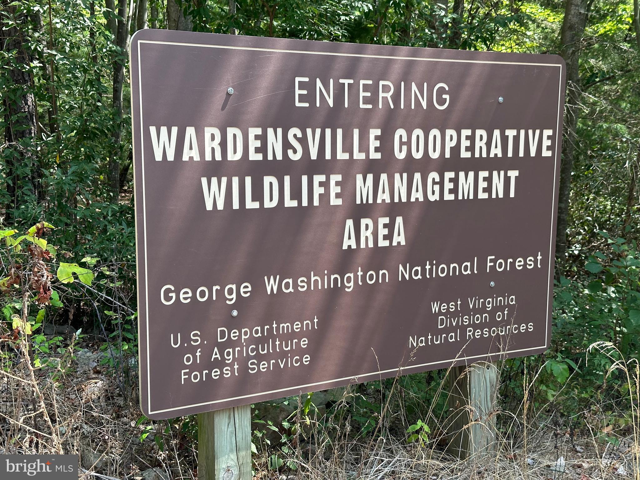 BLACK BEAR RECREATION AREA - Land