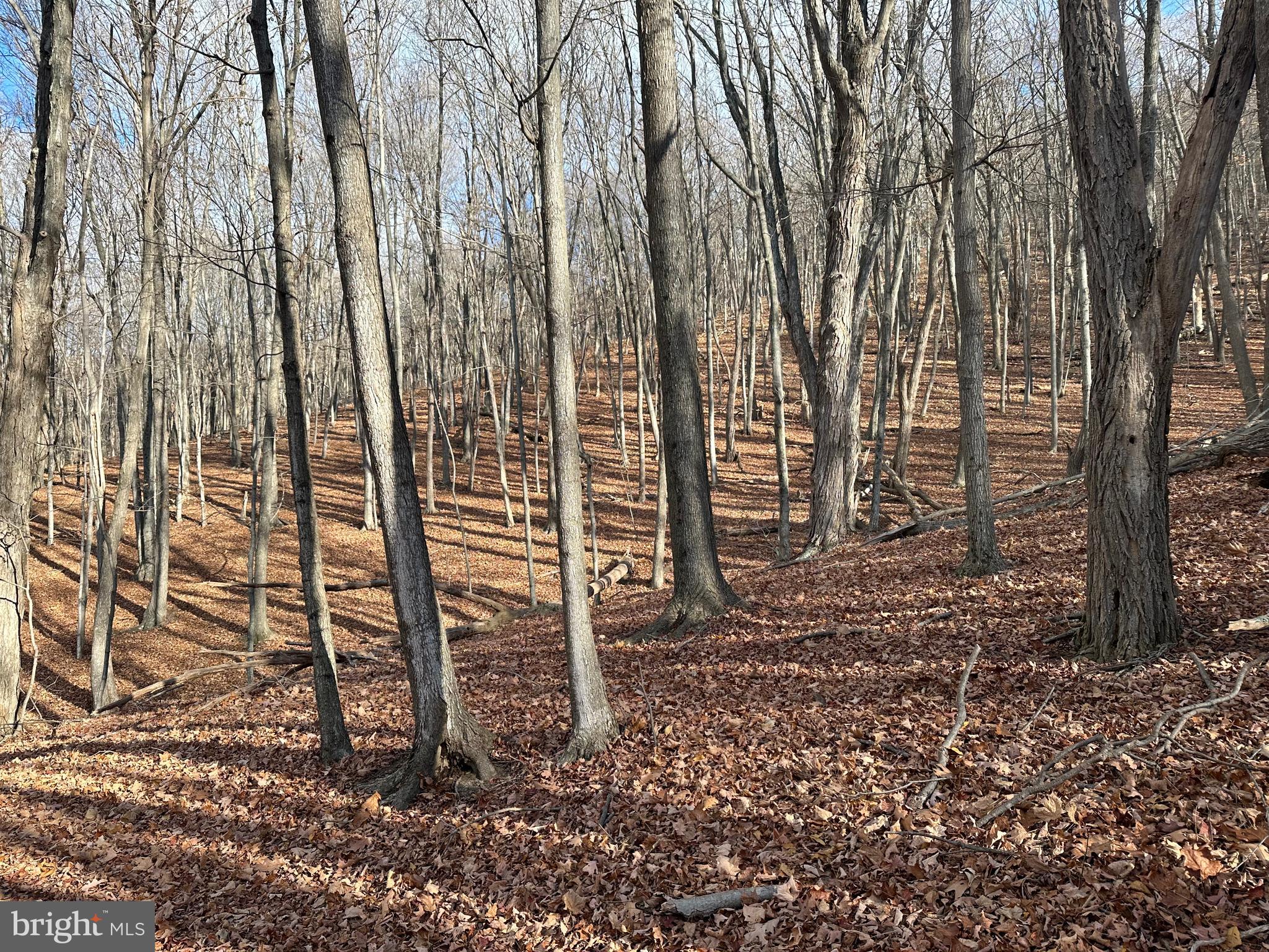 BLACK BEAR RECREATION AREA - Land