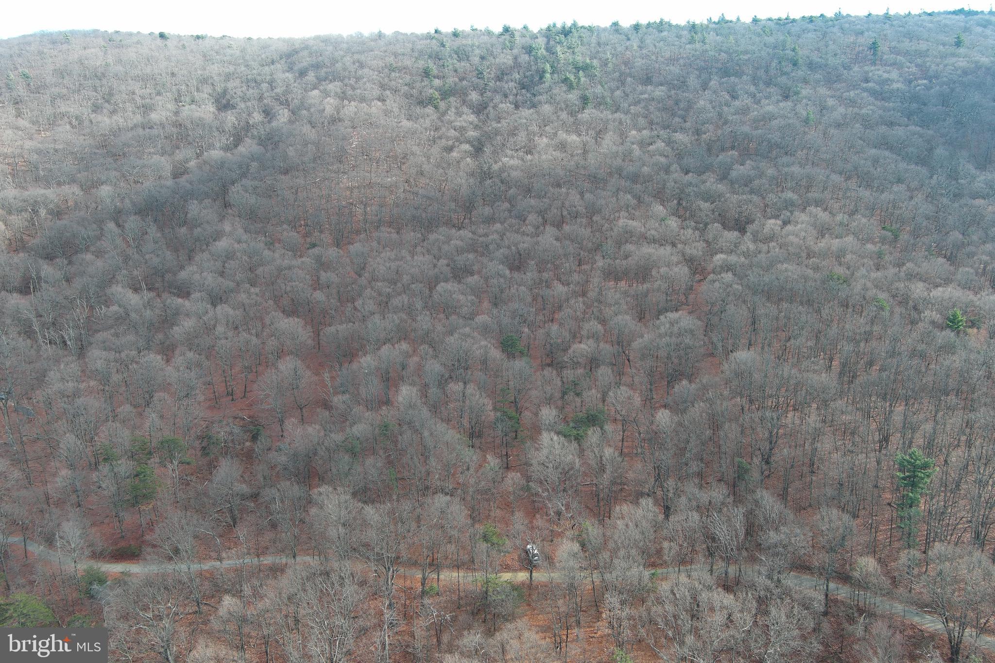 BLACK BEAR RECREATION AREA - Land