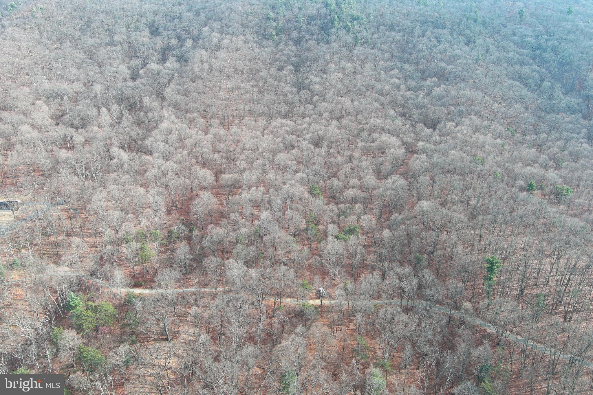 BLACK BEAR RECREATION AREA - Land