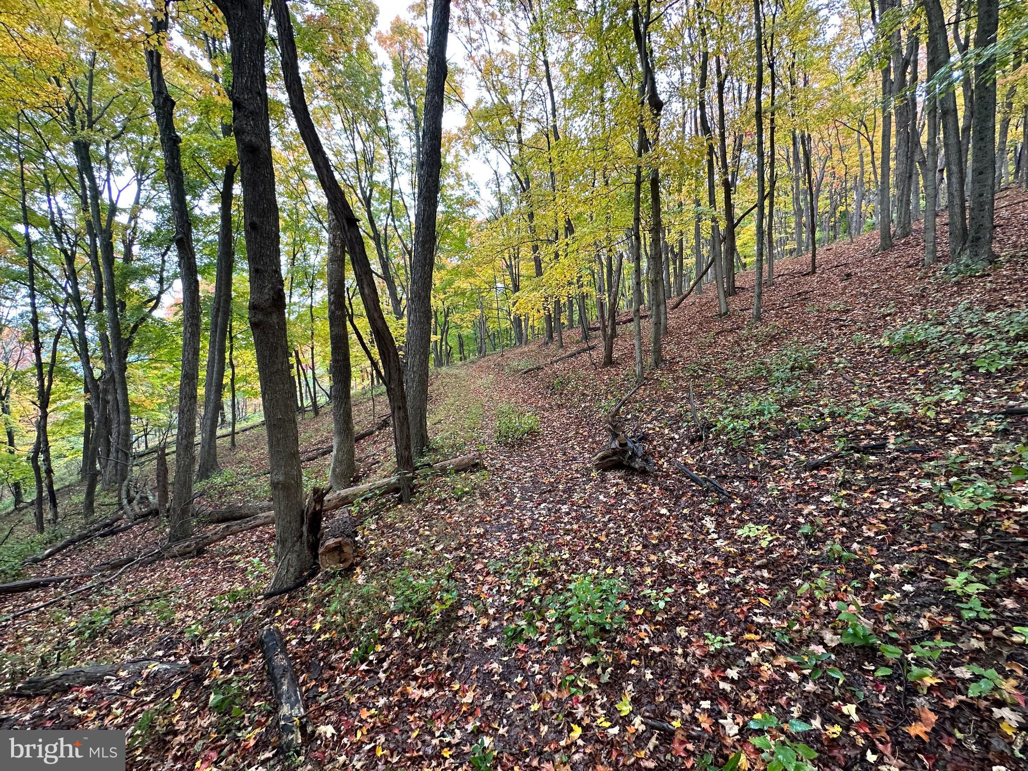 BLACK BEAR RECREATION AREA - Land