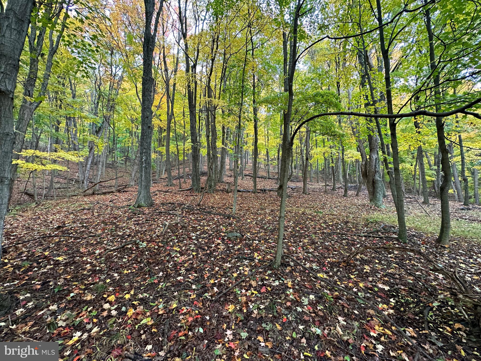 BLACK BEAR RECREATION AREA - Land