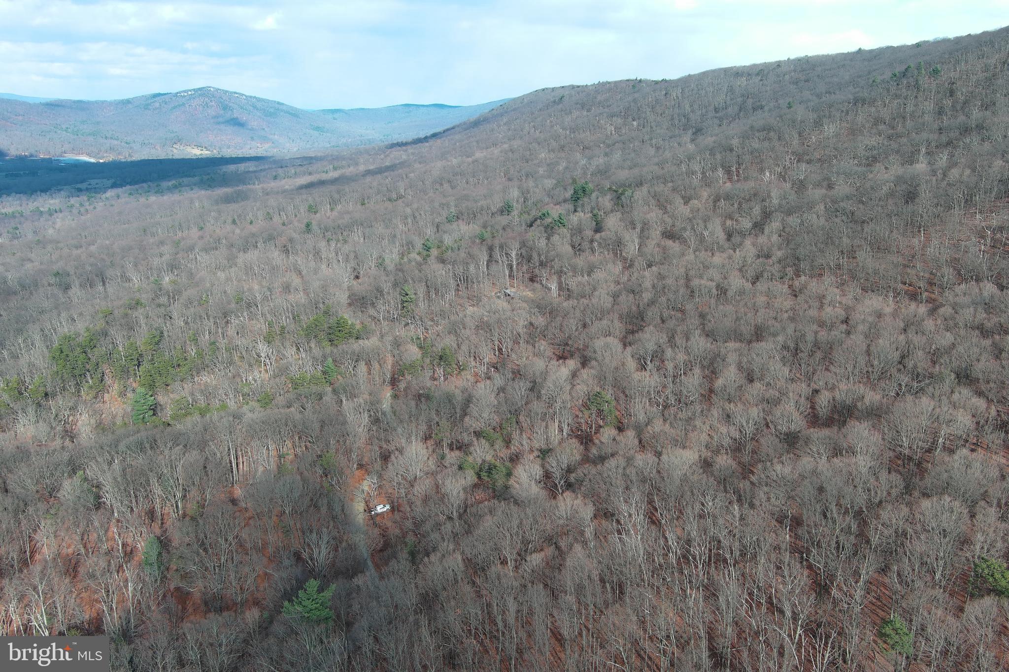 BLACK BEAR RECREATION AREA - Land