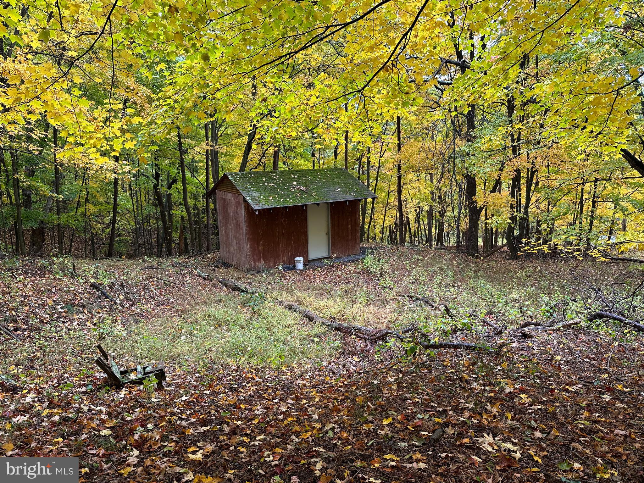 BLACK BEAR RECREATION AREA - Land
