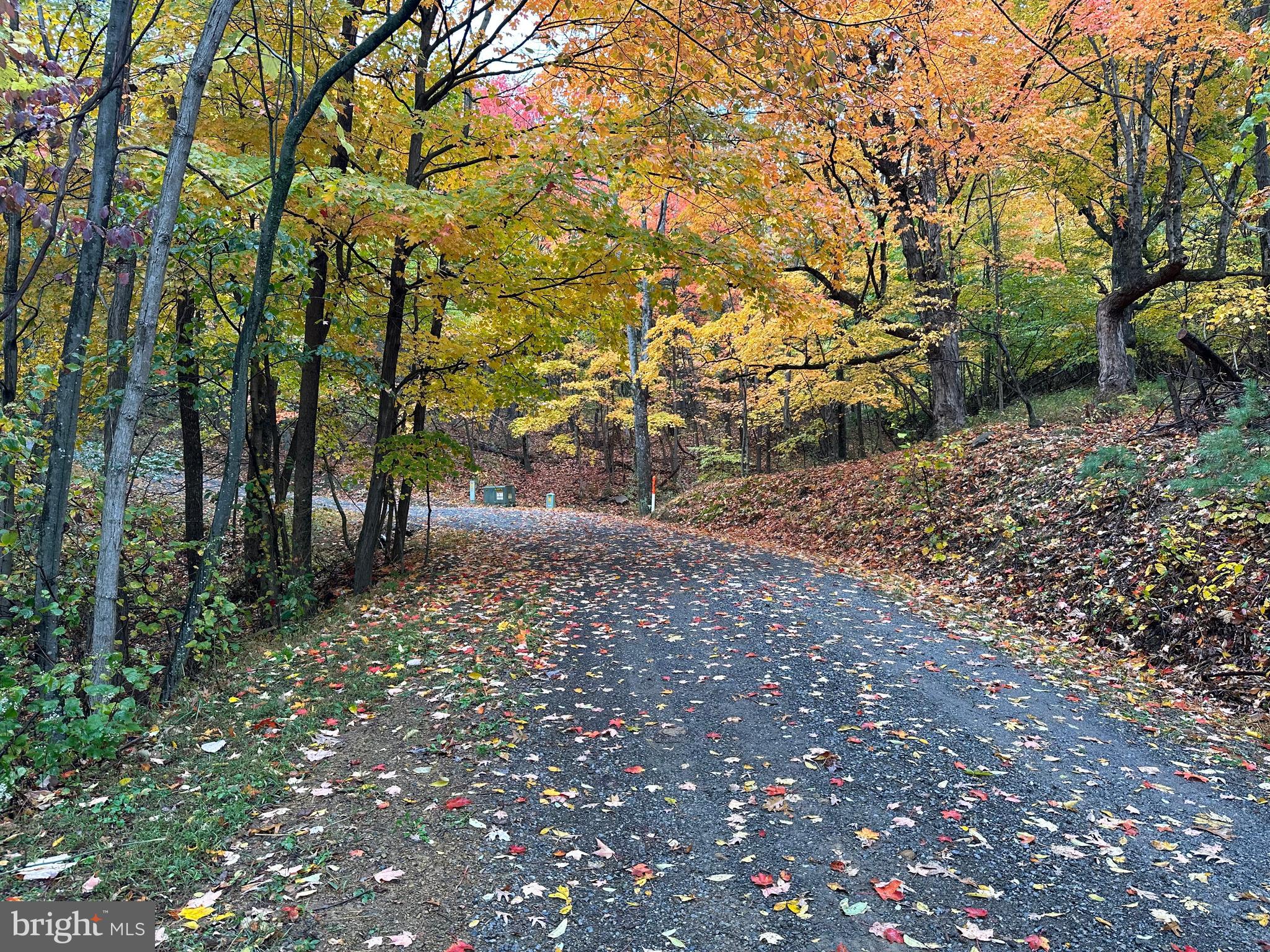 BLACK BEAR RECREATION AREA - Land