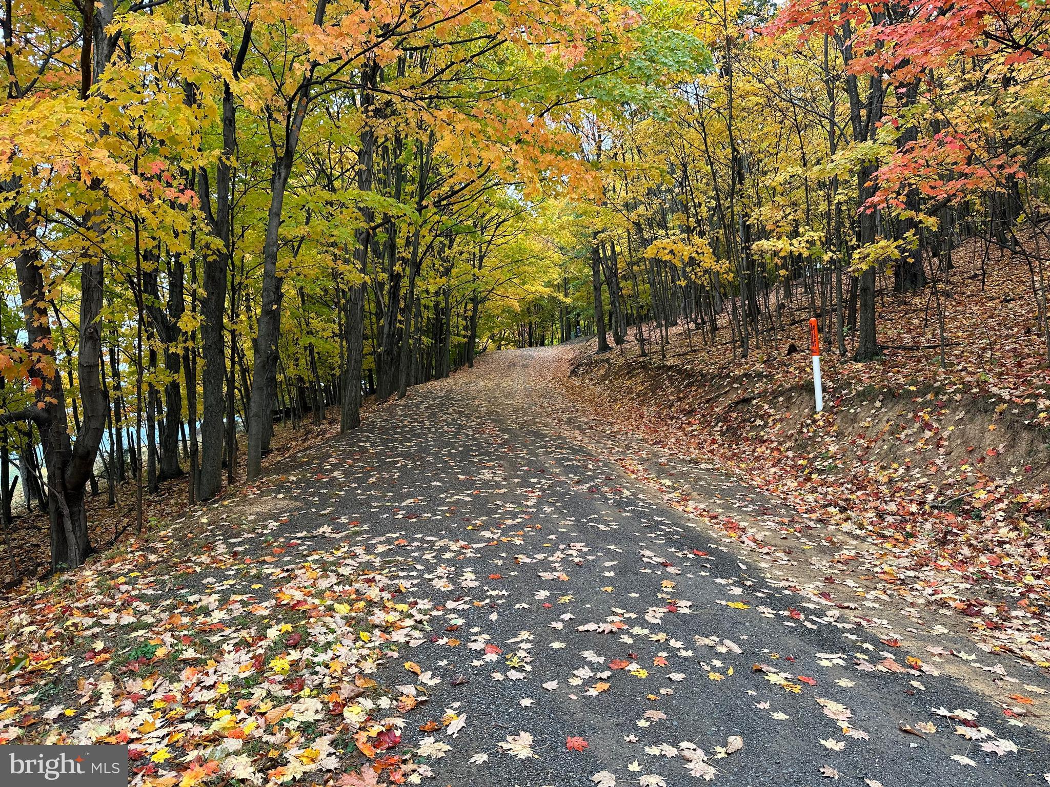 BLACK BEAR RECREATION AREA - Land