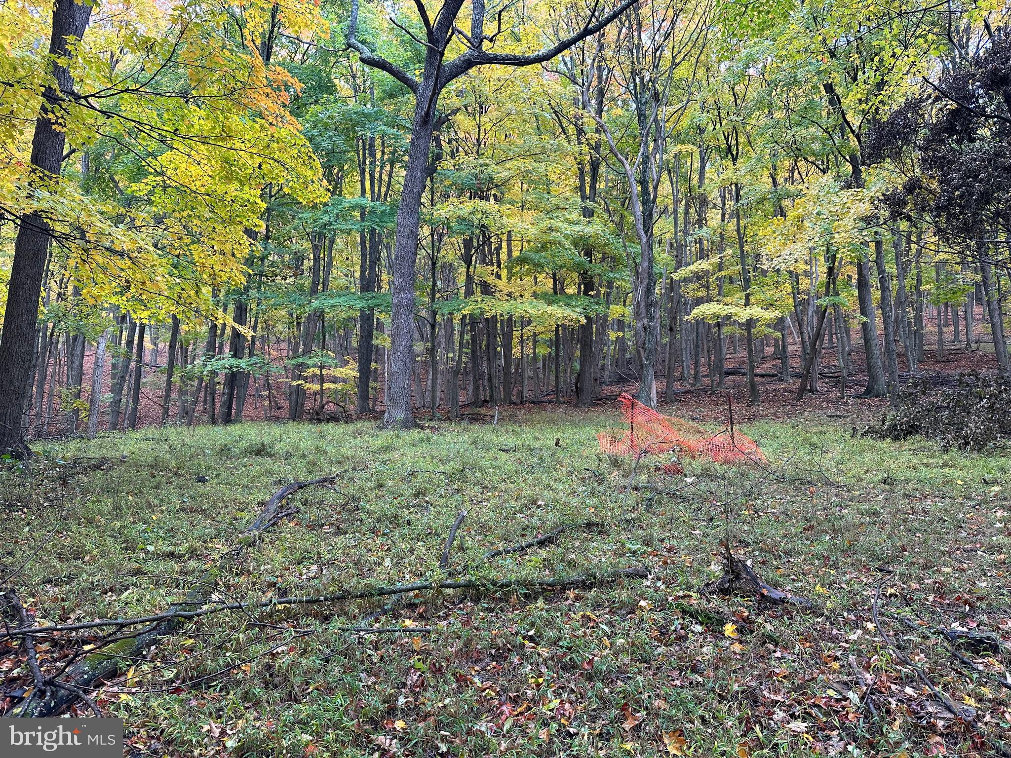 BLACK BEAR RECREATION AREA - Land
