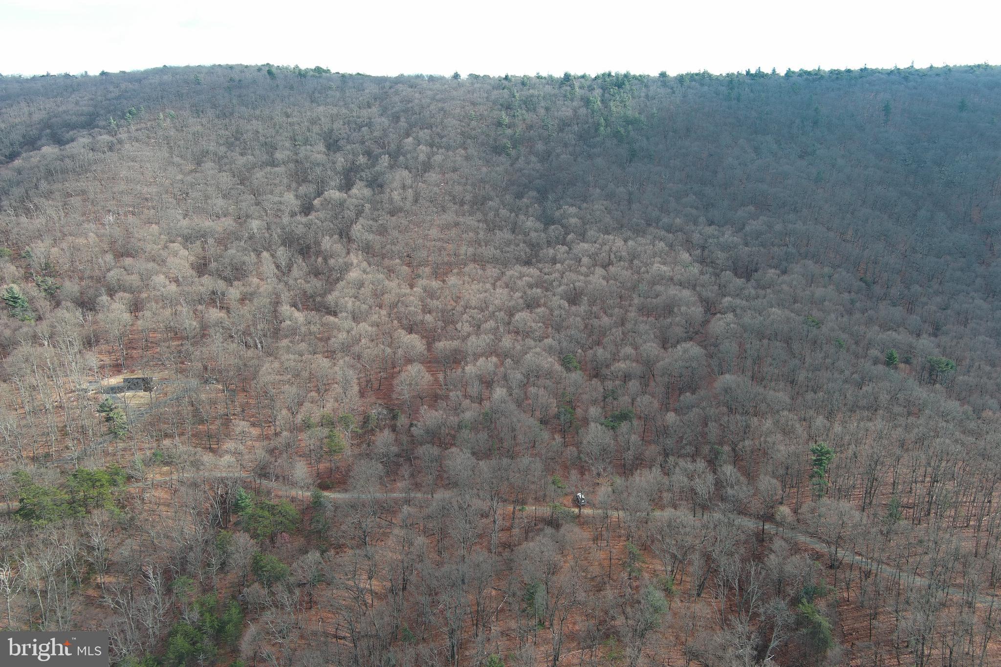 BLACK BEAR RECREATION AREA - Land