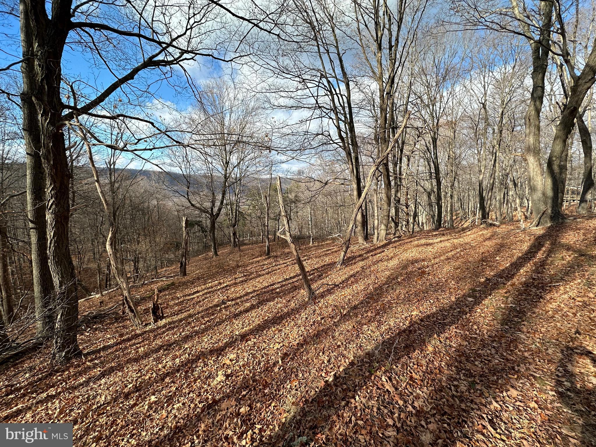 BLACK BEAR RECREATION AREA - Land