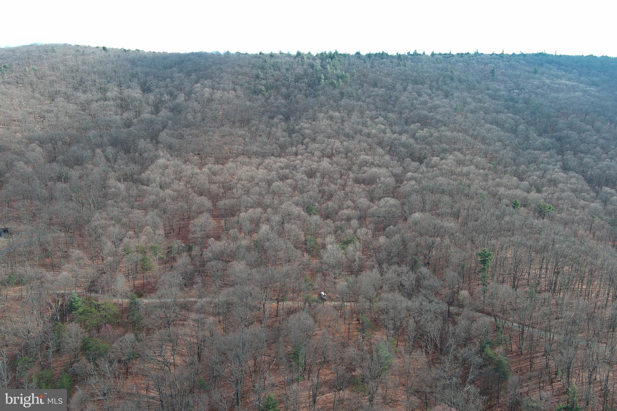 BLACK BEAR RECREATION AREA - Land