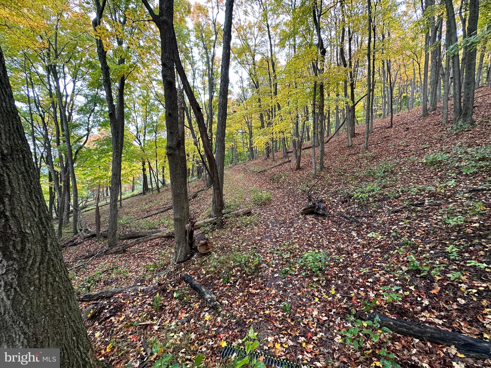 BLACK BEAR RECREATION AREA - Land