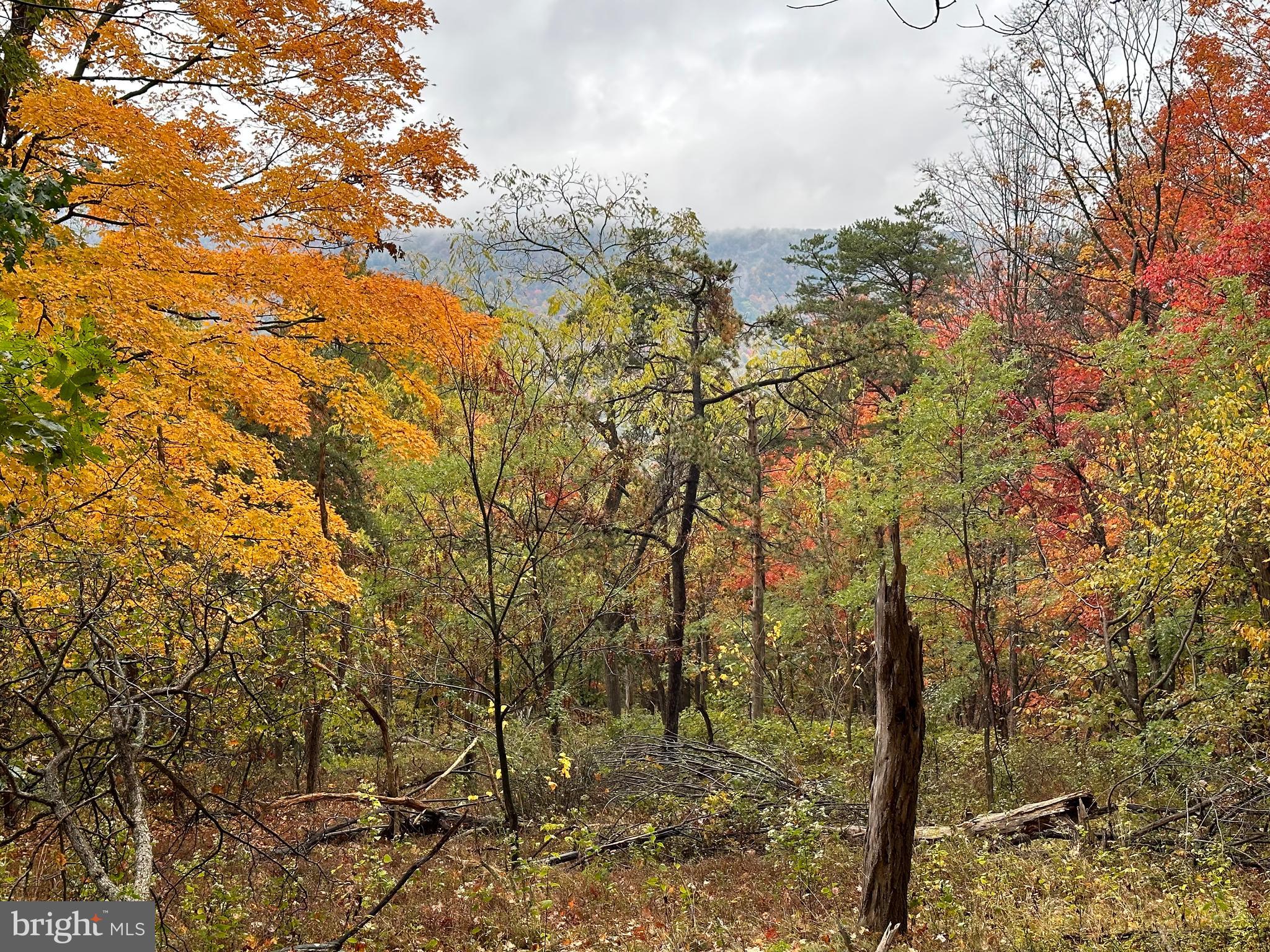 BLACK BEAR RECREATION AREA - Land