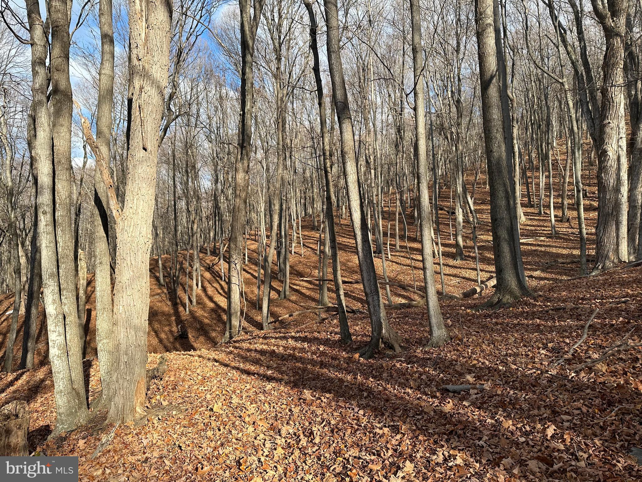 BLACK BEAR RECREATION AREA - Land