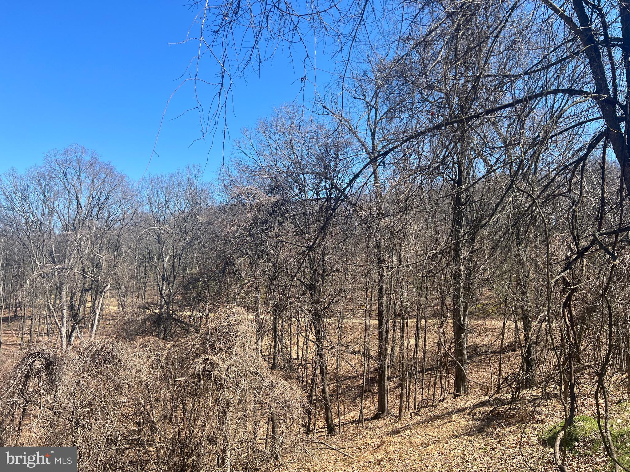 WOODS AT TAYLOR LAKE - Land