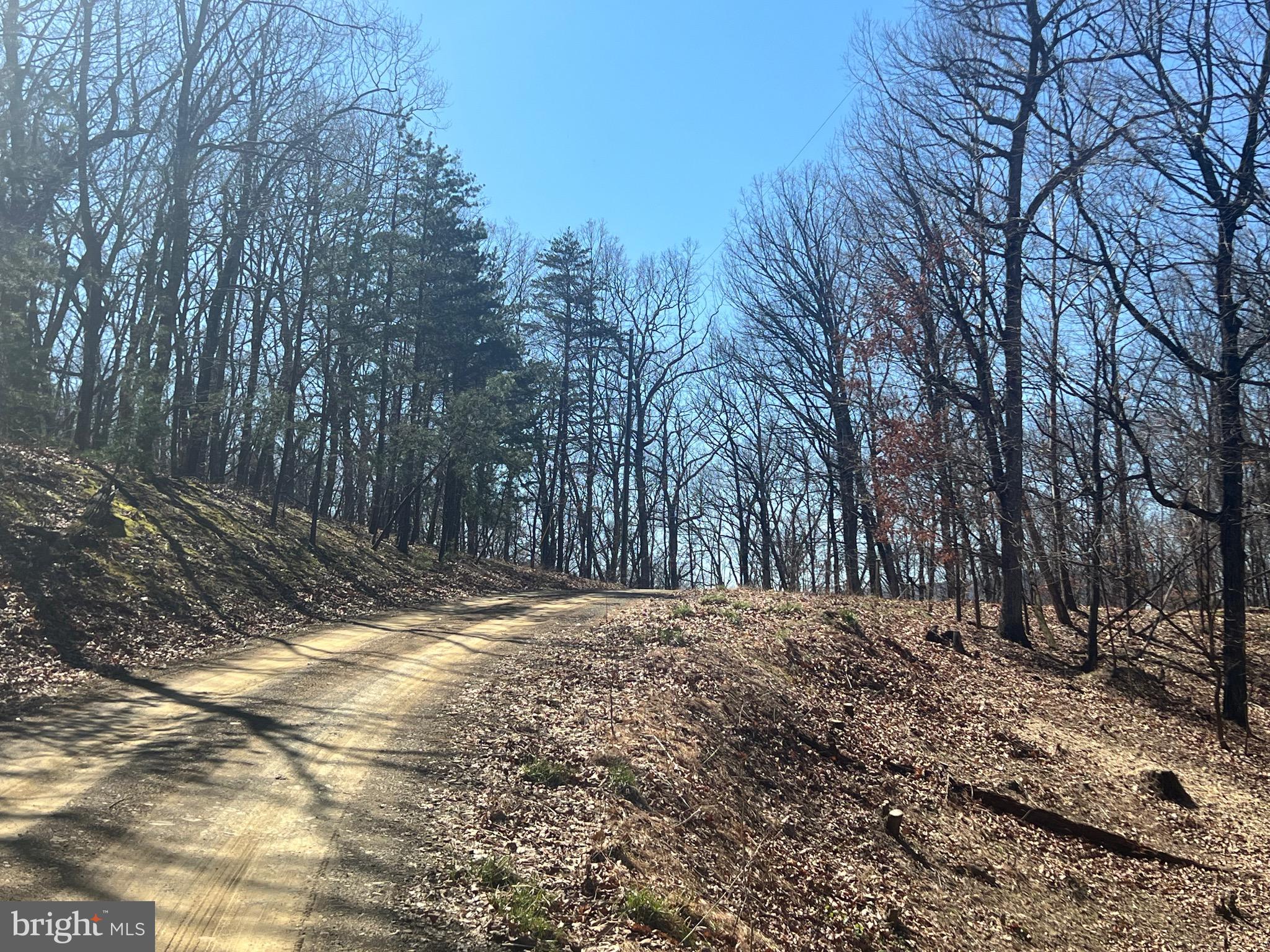 WOODS AT TAYLOR LAKE - Land