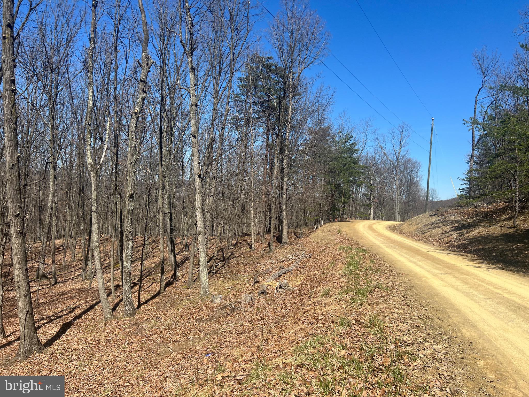 WOODS AT TAYLOR LAKE - Land