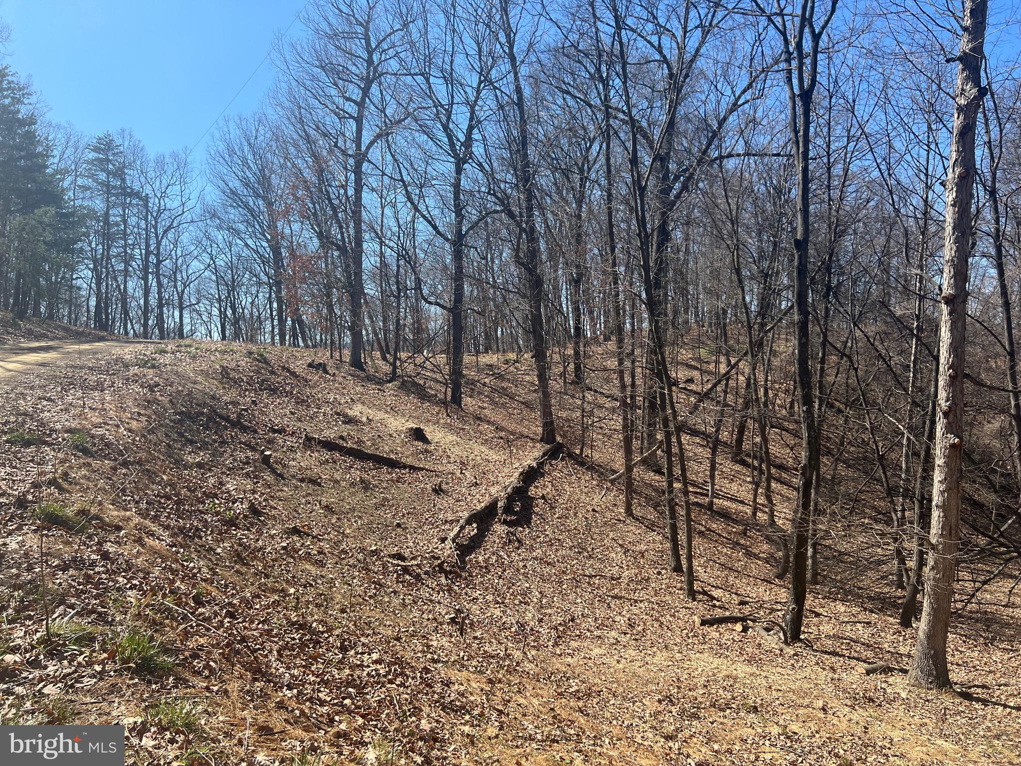 WOODS AT TAYLOR LAKE - Land