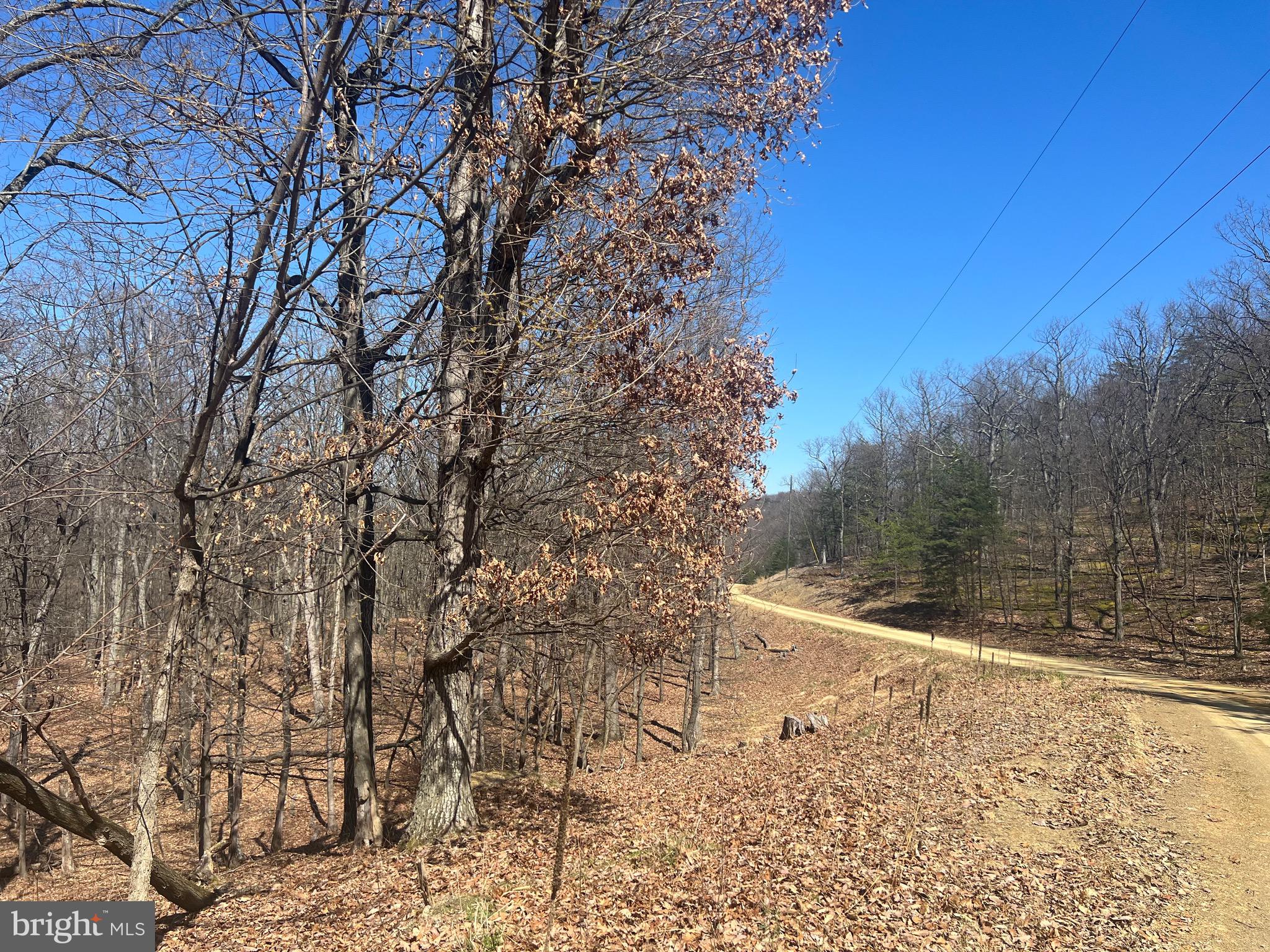WOODS AT TAYLOR LAKE - Land