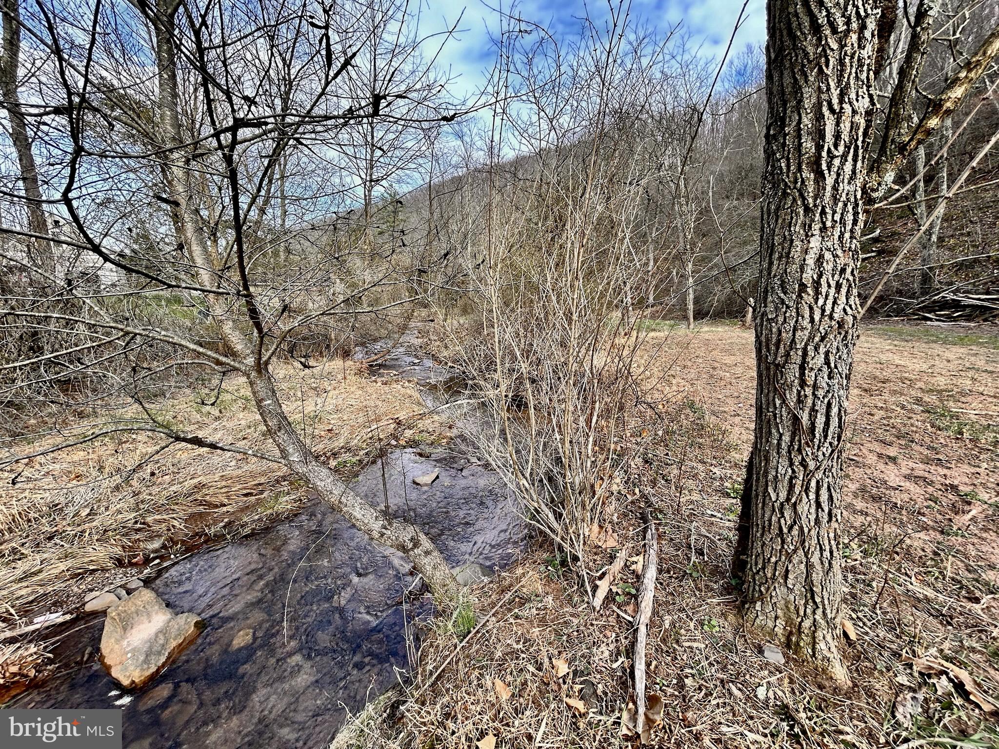 MOUNTAIN RUN SUBDIVISION - Land