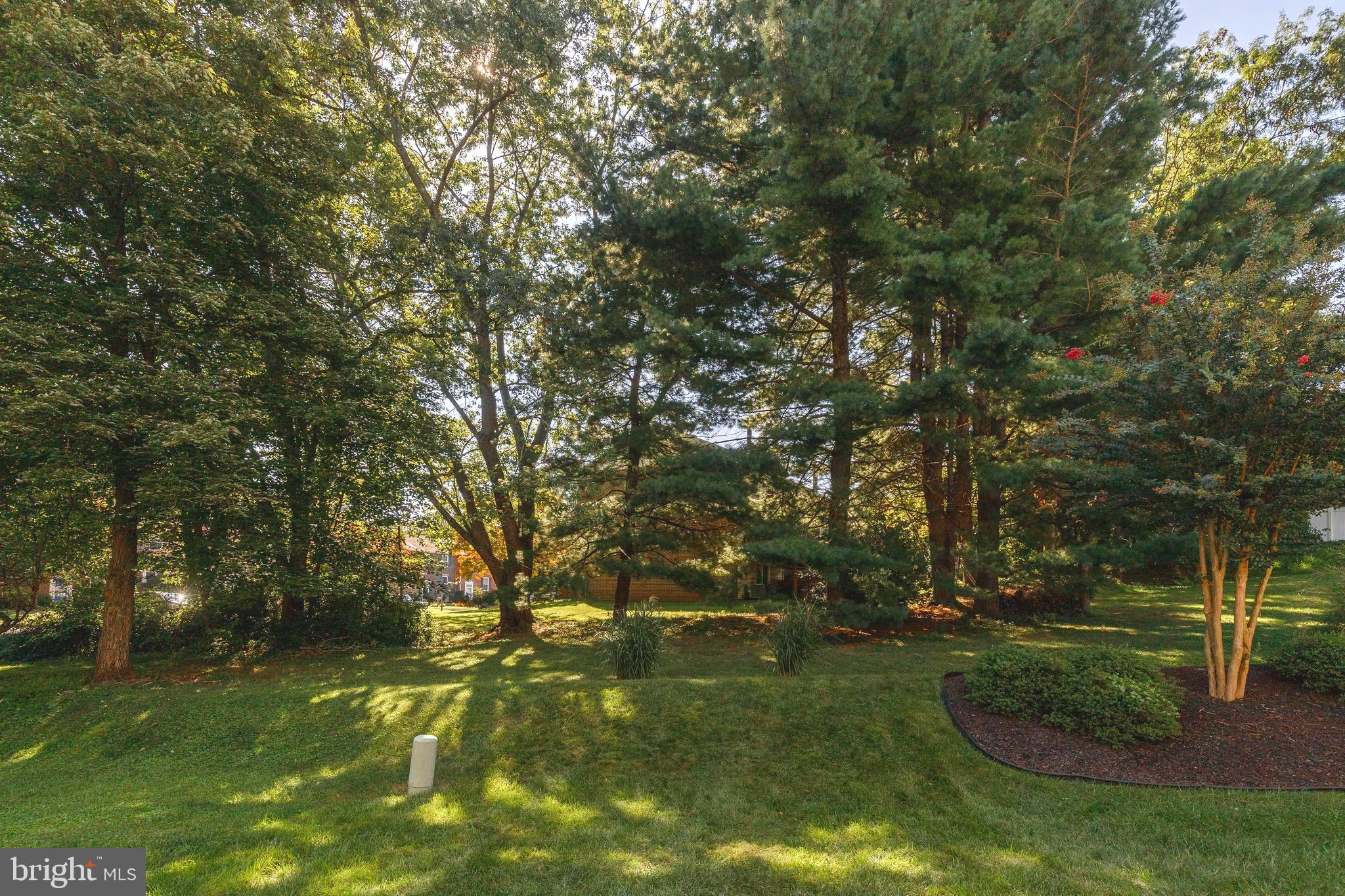 CHIPPENDALE - Residential