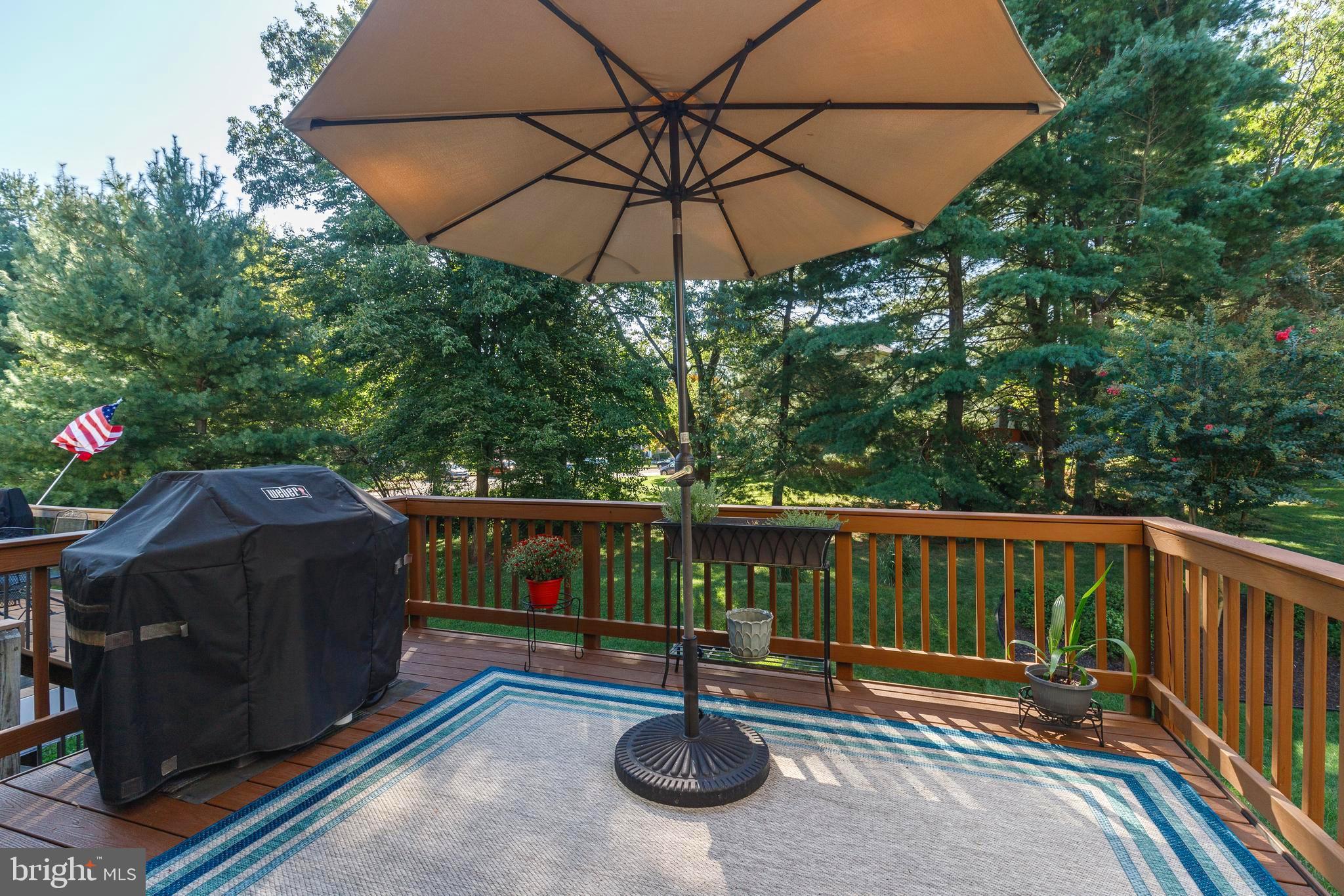 CHIPPENDALE - Residential