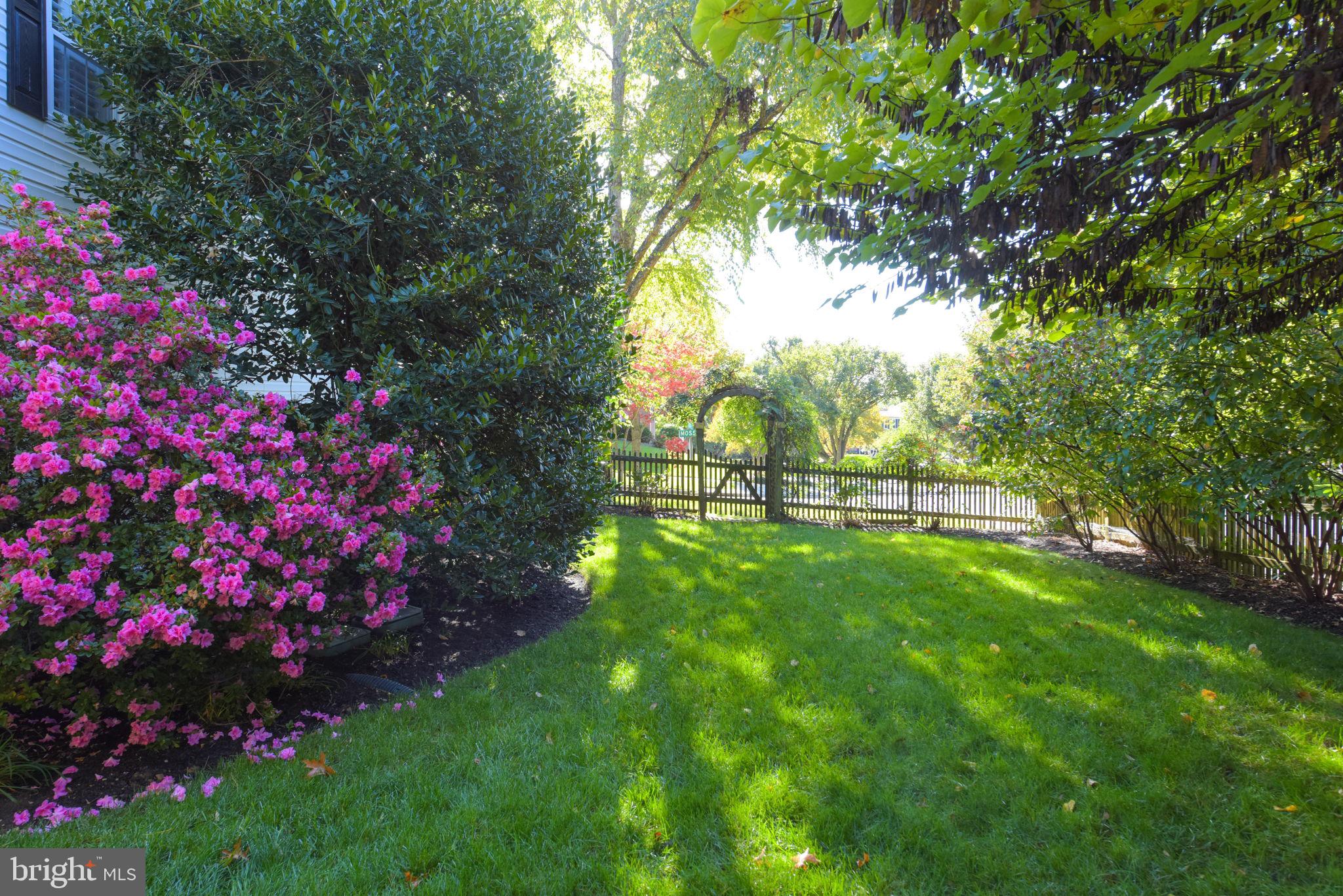 SEMINARY RIDGE - Residential