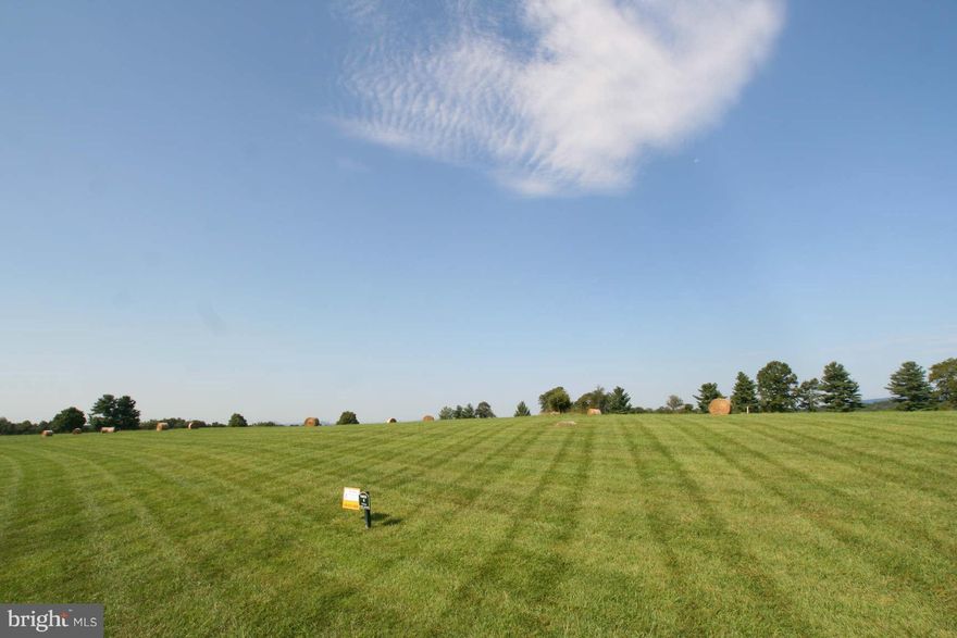 Hurry!!! Last Lot in Enclave of Custom Homes in the Country...to-be-built...LOT 4 is 5.5+/- Acres. Spectacular Rolling Pasture with Protected View Shed of Blue Ridge Mountains & Surrounding Countryside. Strong Well Already In Place. Paved Roads and Convenient to Middleburg & Upperville. Potential Build-to-Suit by Established Local Builder or Bring Your Own Plans and Builder.