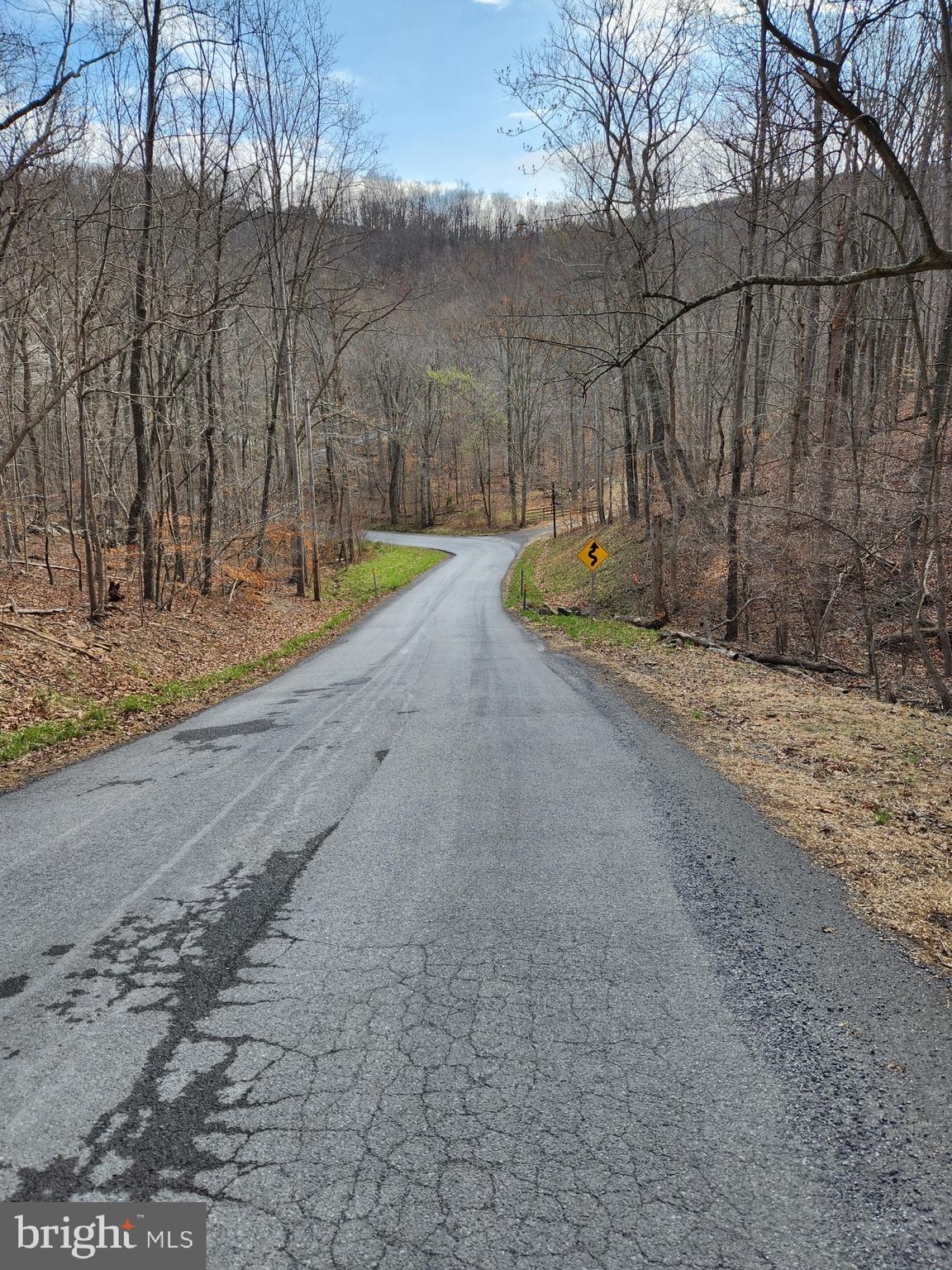 SHEN FARMS MT LAKE - Land