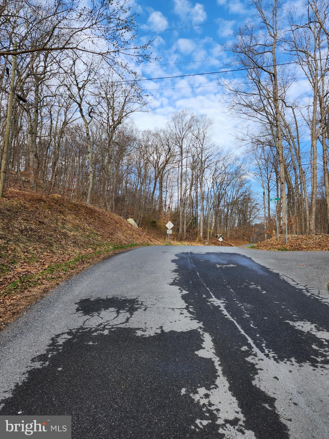 SHEN FARMS MT LAKE - Land