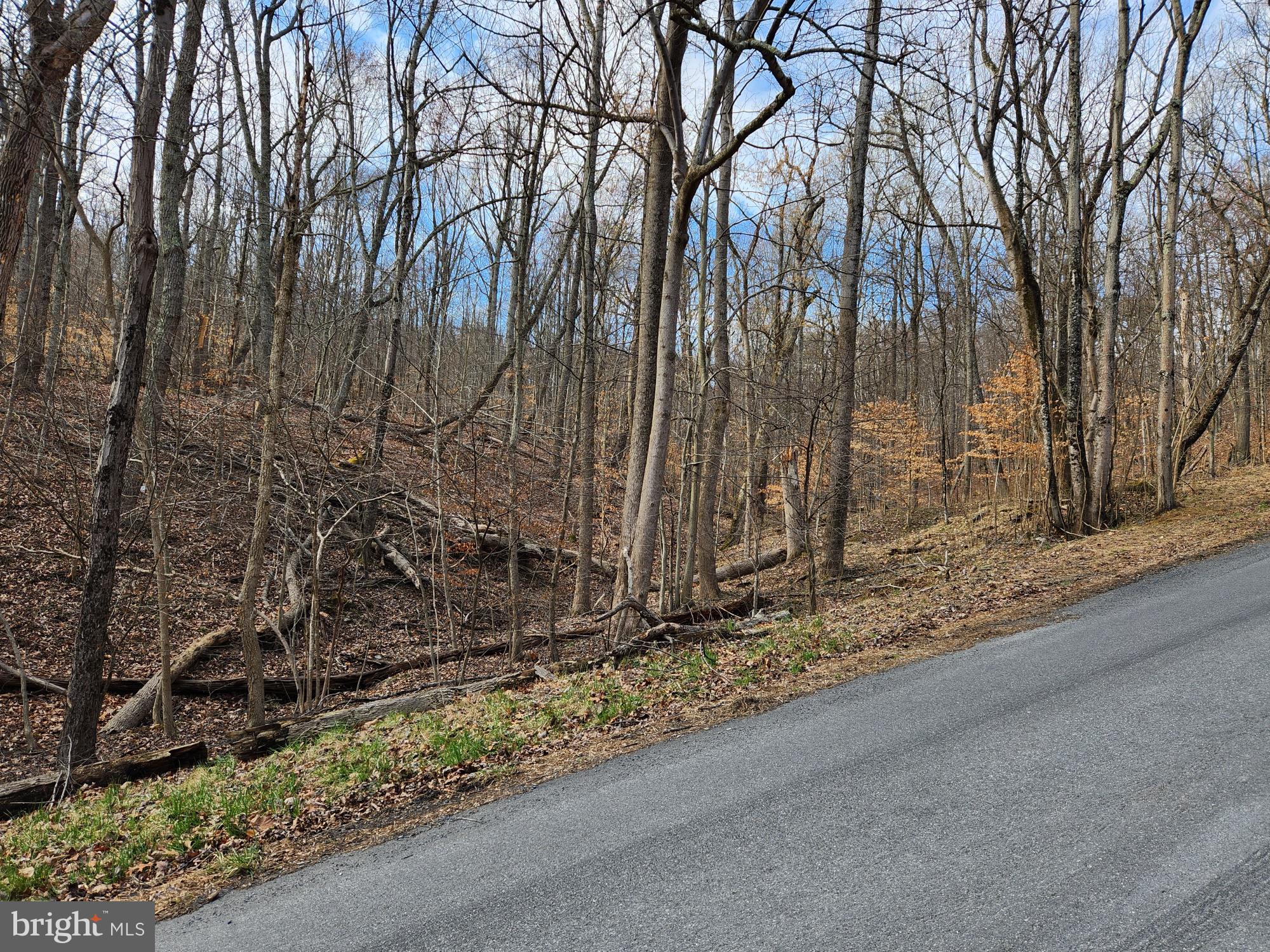 SHEN FARMS MT LAKE - Land