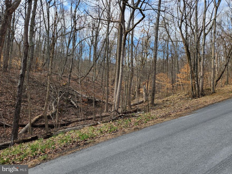 Peace and privacy can be yours in the beautiful Shenandoah Farms community offering mountain views, two private lakes and endless recreational activities: boating, swimming, hiking and more. Secluded, wooded building lot located in Shenandoah Farms Mountain Lake; no perc on file; orange markers by listing agent showing approximate road front lot corners. Well and septic by purchaser. See documents tab for GIS aerial lot location. Seller has 3 additional lots listed for sale in Shenandoah Farms Mt Lake – see VASH2005340, VASH2005358, VASH2005360; increase your investment portfolio - buy one or buy all 4!