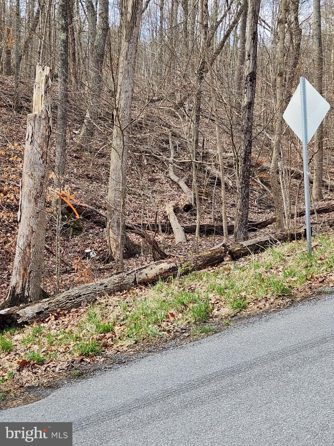 SHEN FARMS MT LAKE - Land