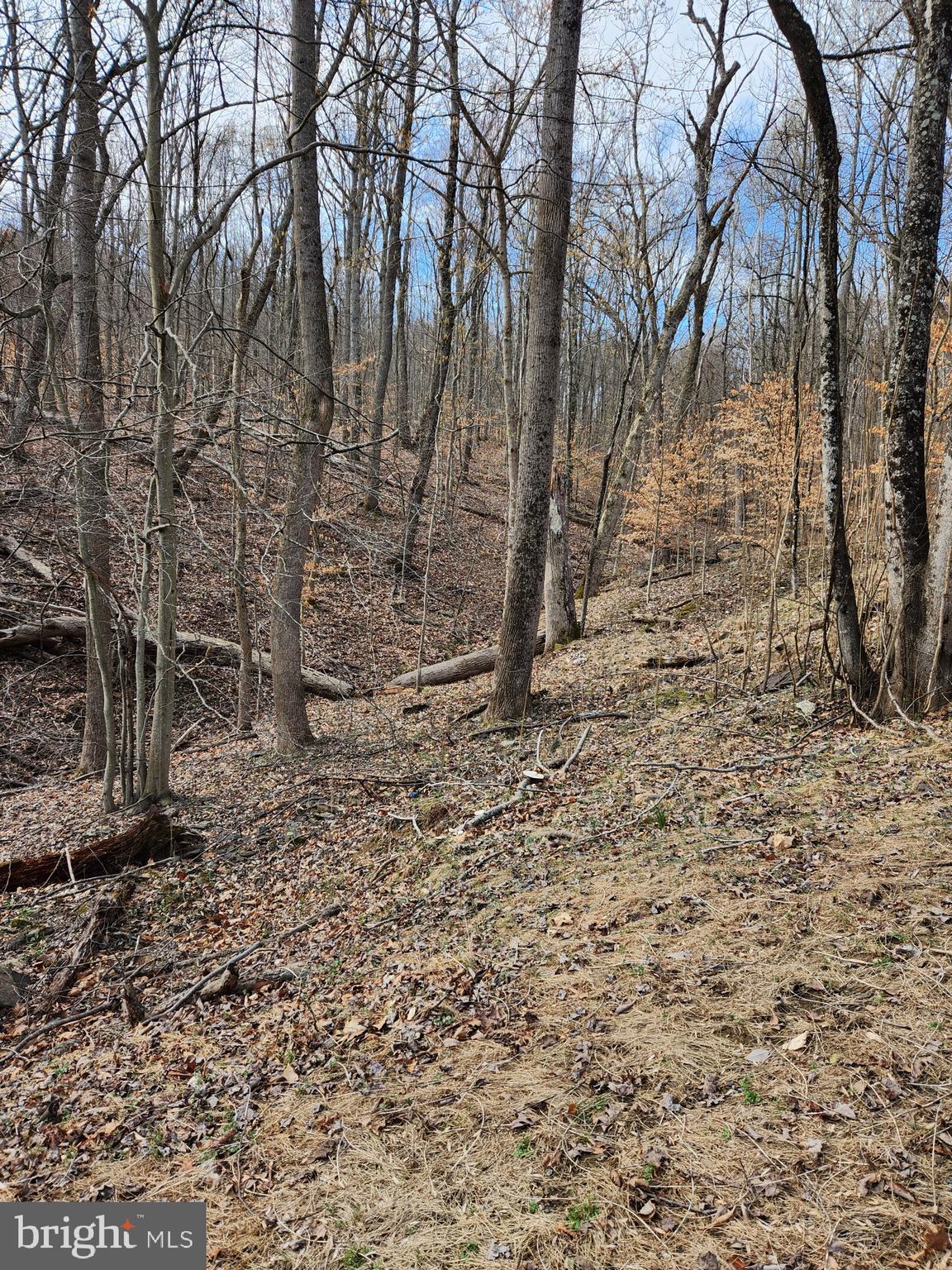 SHEN FARMS MT LAKE - Land