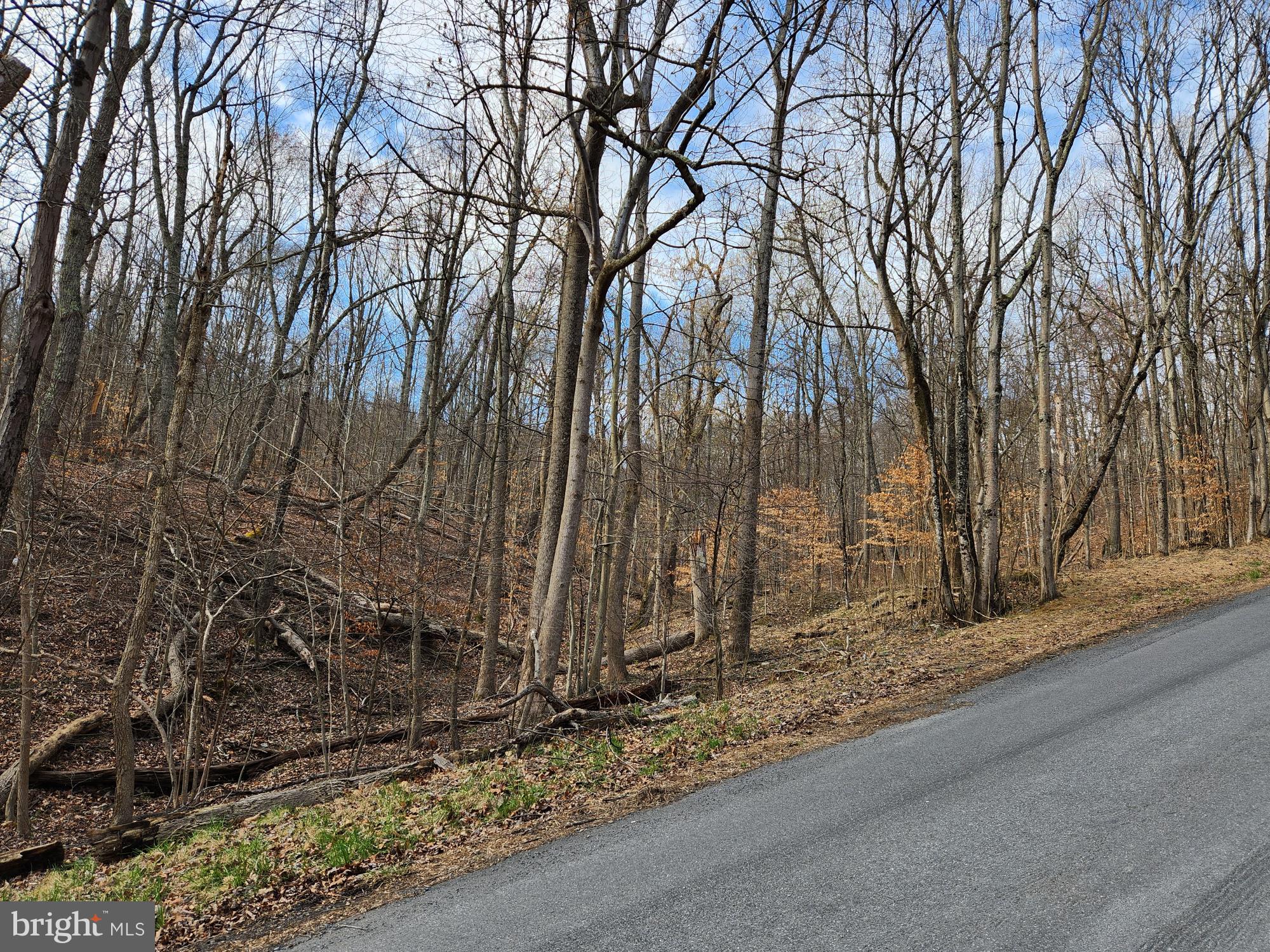 SHEN FARMS MT LAKE - Land
