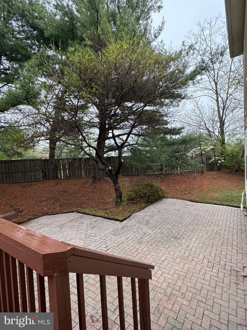 listing image 24