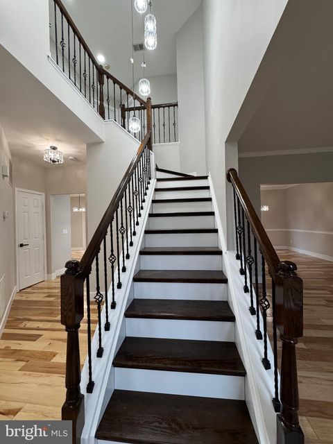 listing image 54