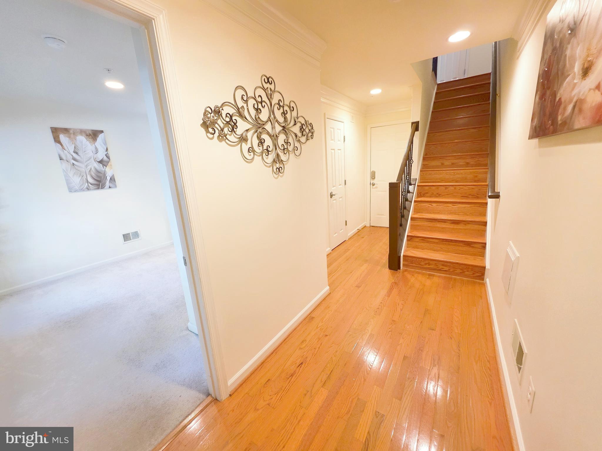 513 CASEY LANE
