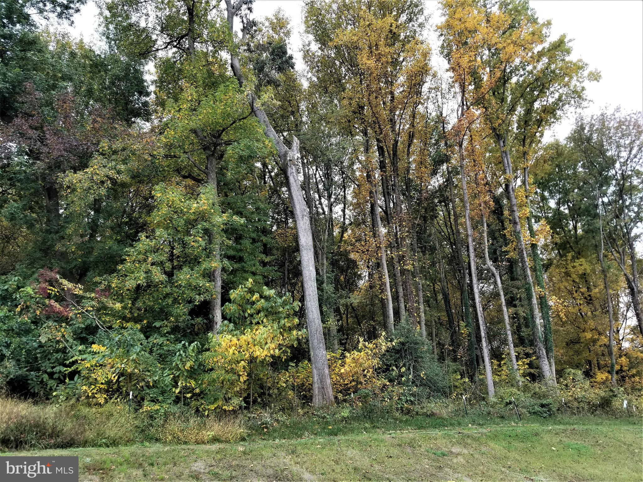 ENCLAVE AT WAUGH CHAPEL - Residential Lease