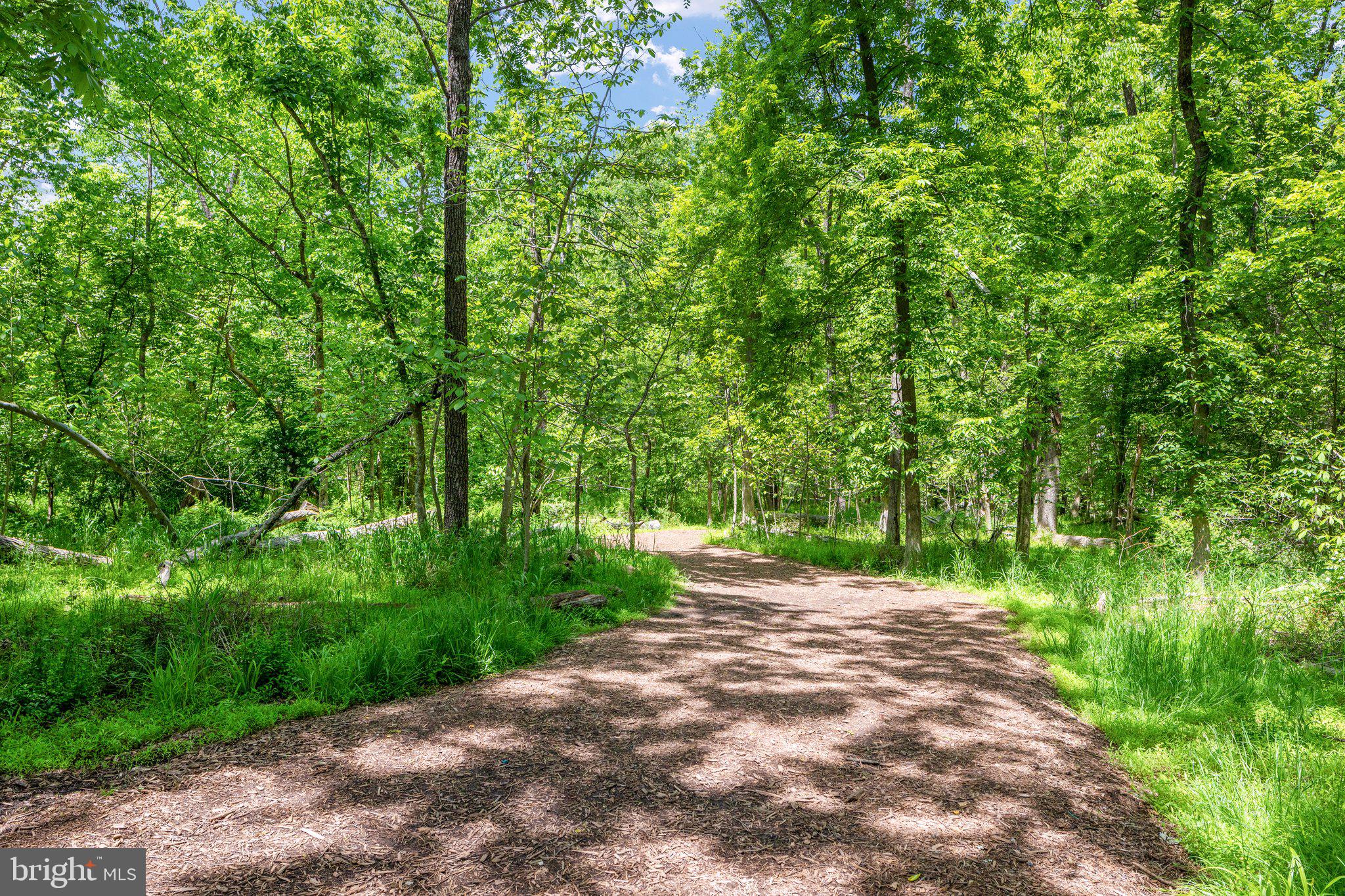 LANSDOWNE ON THE POTOMAC - Residential