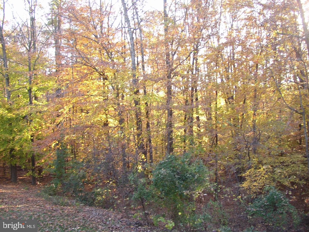NEWINGTON FOREST - Residential
